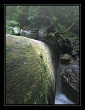 ADG riviere2